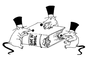 image 300 x 204
image 300 x 204